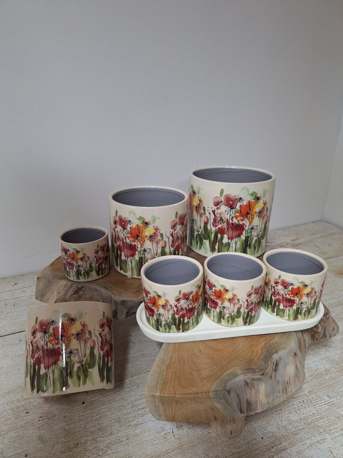 Small Pot poppies
