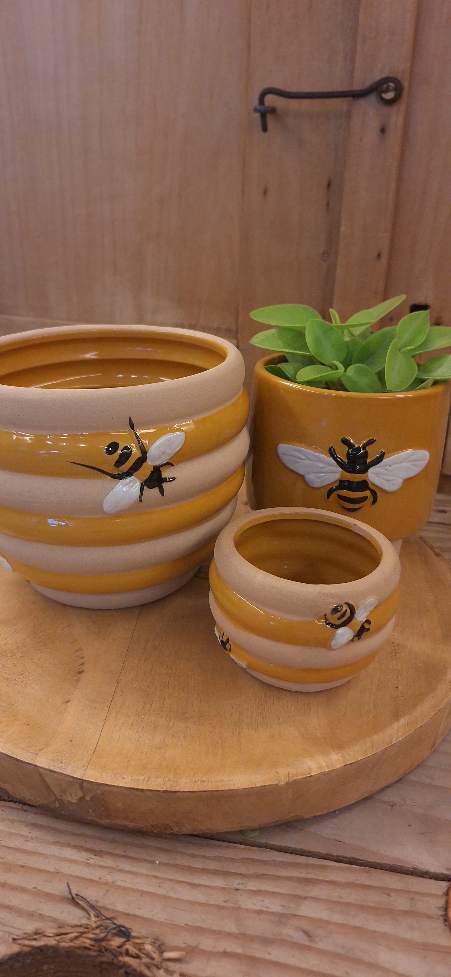 Pot Bees mini
