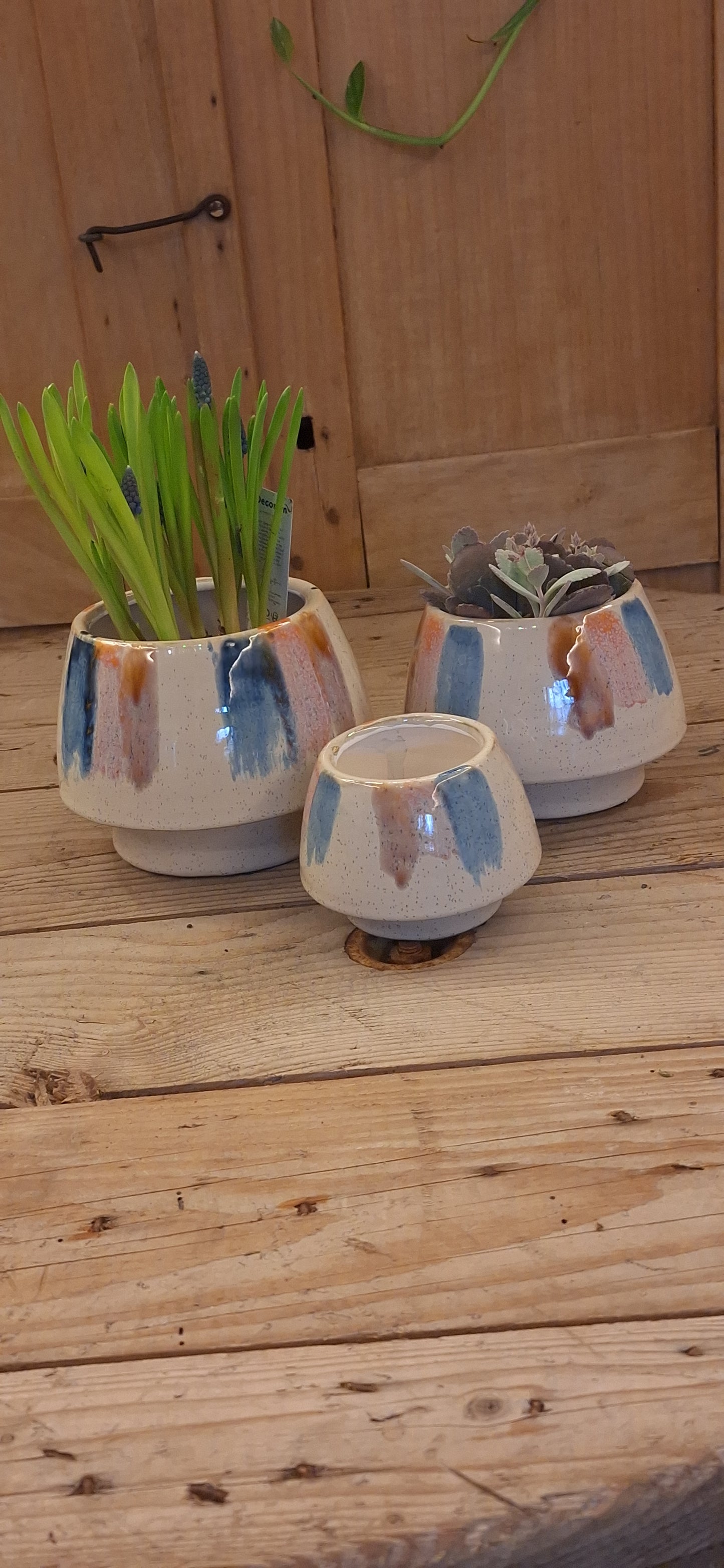 Mini pot pastels dia 6cm