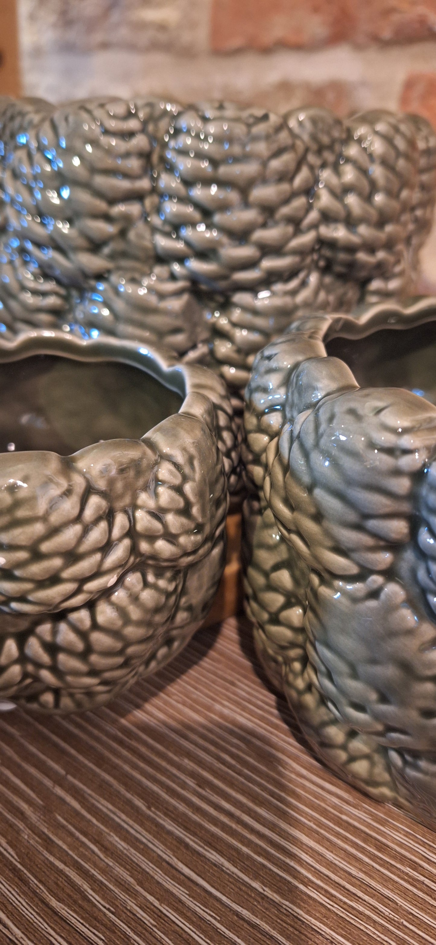 Pot pine mini dia 6cm