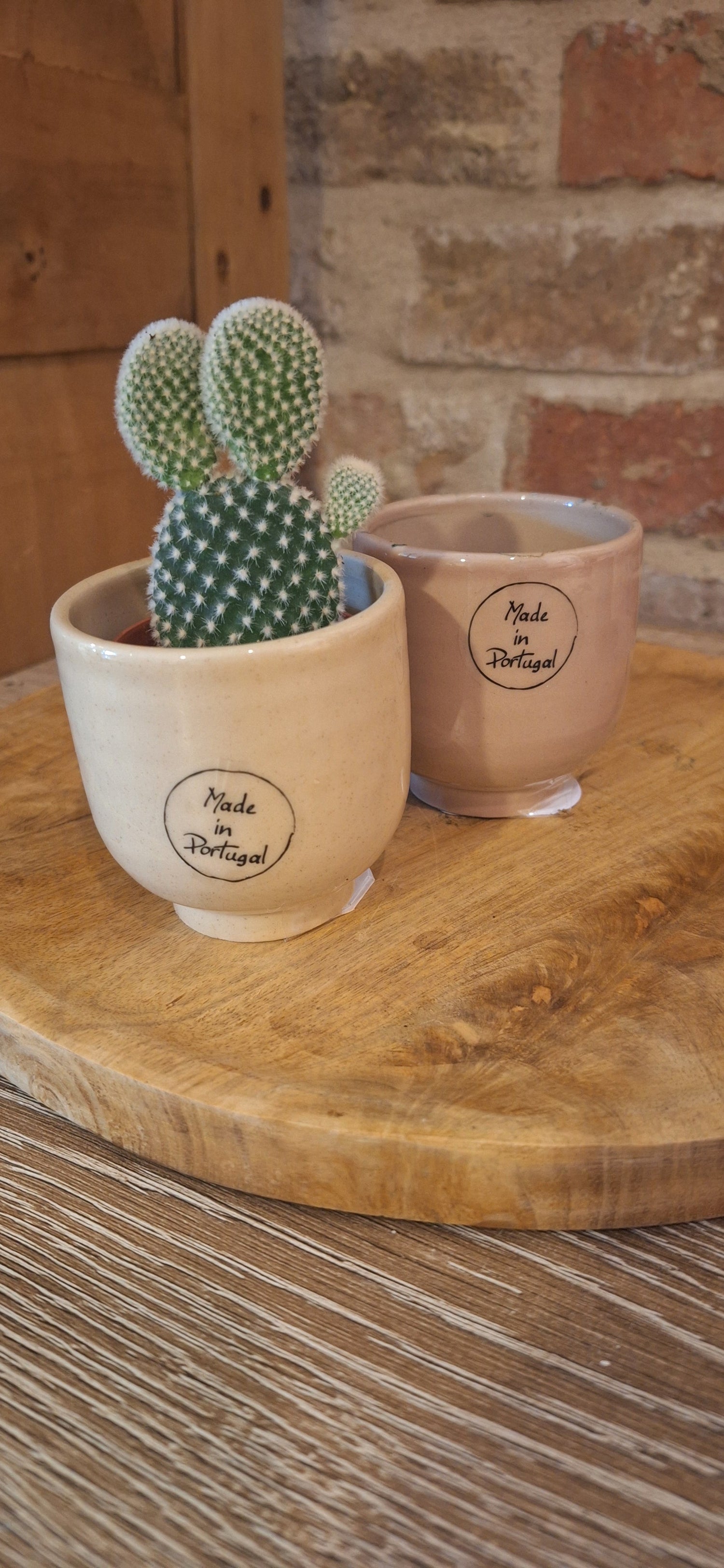 Kleine planten & potten