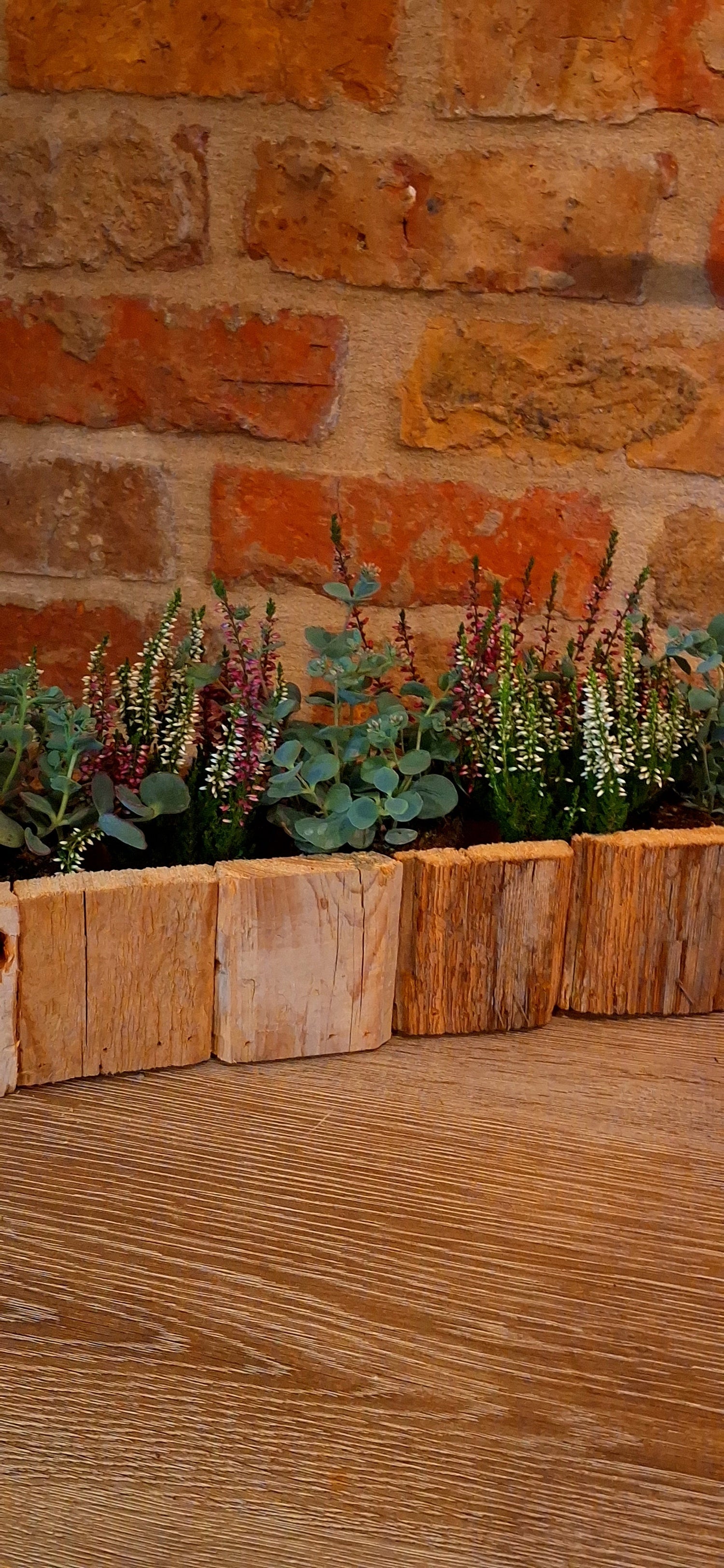 Geschenkschalen met planten