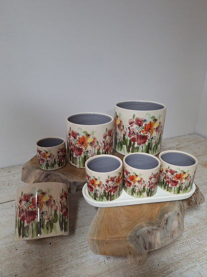 Small Pot poppies