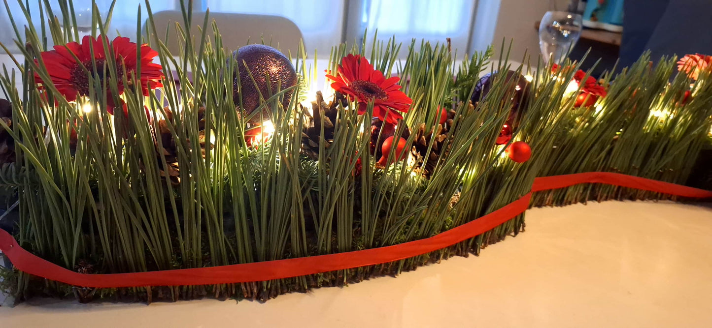 Workshop December 2025