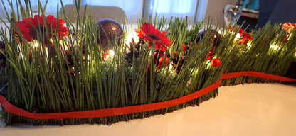 Workshop December 2025