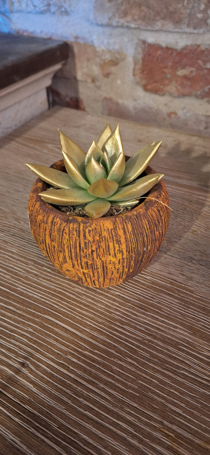 Giftset Glow geschenkplateau