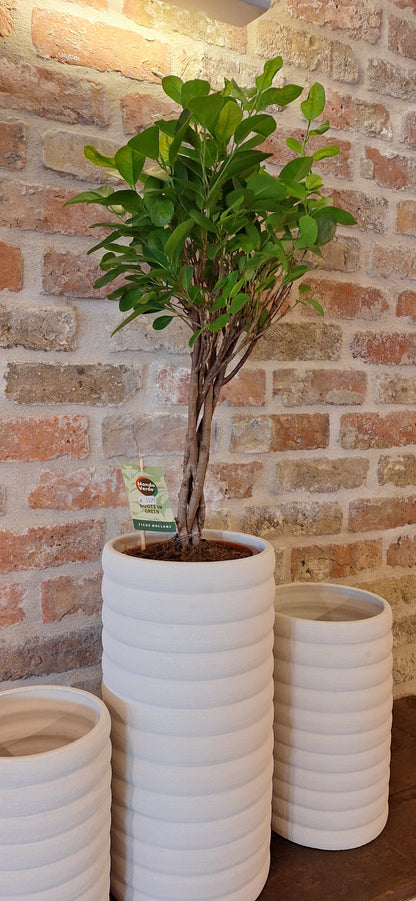 Planter Sand XL dia 19cm