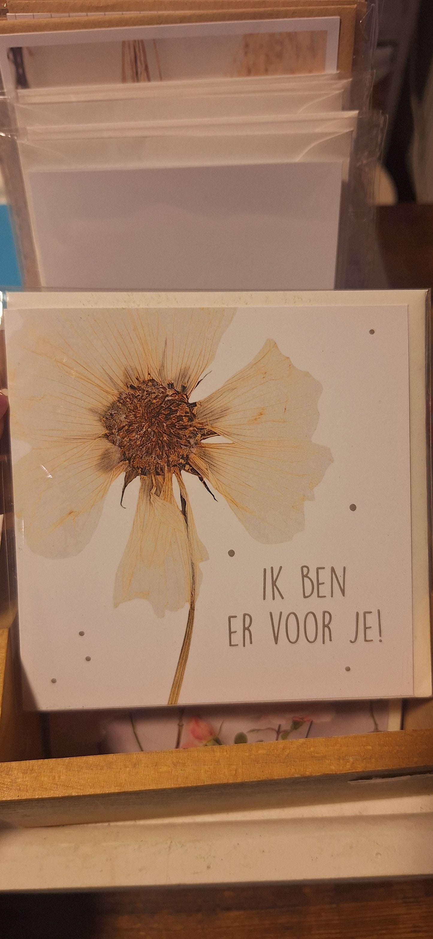 Large greeting card