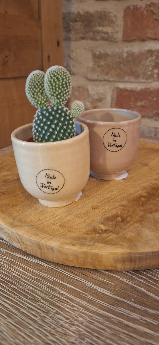 Mini keramiek met plant