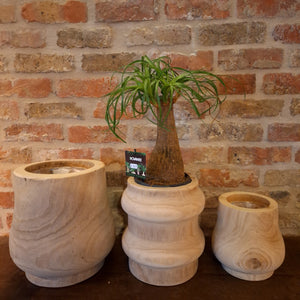 Teak planter Medium dia 17cm