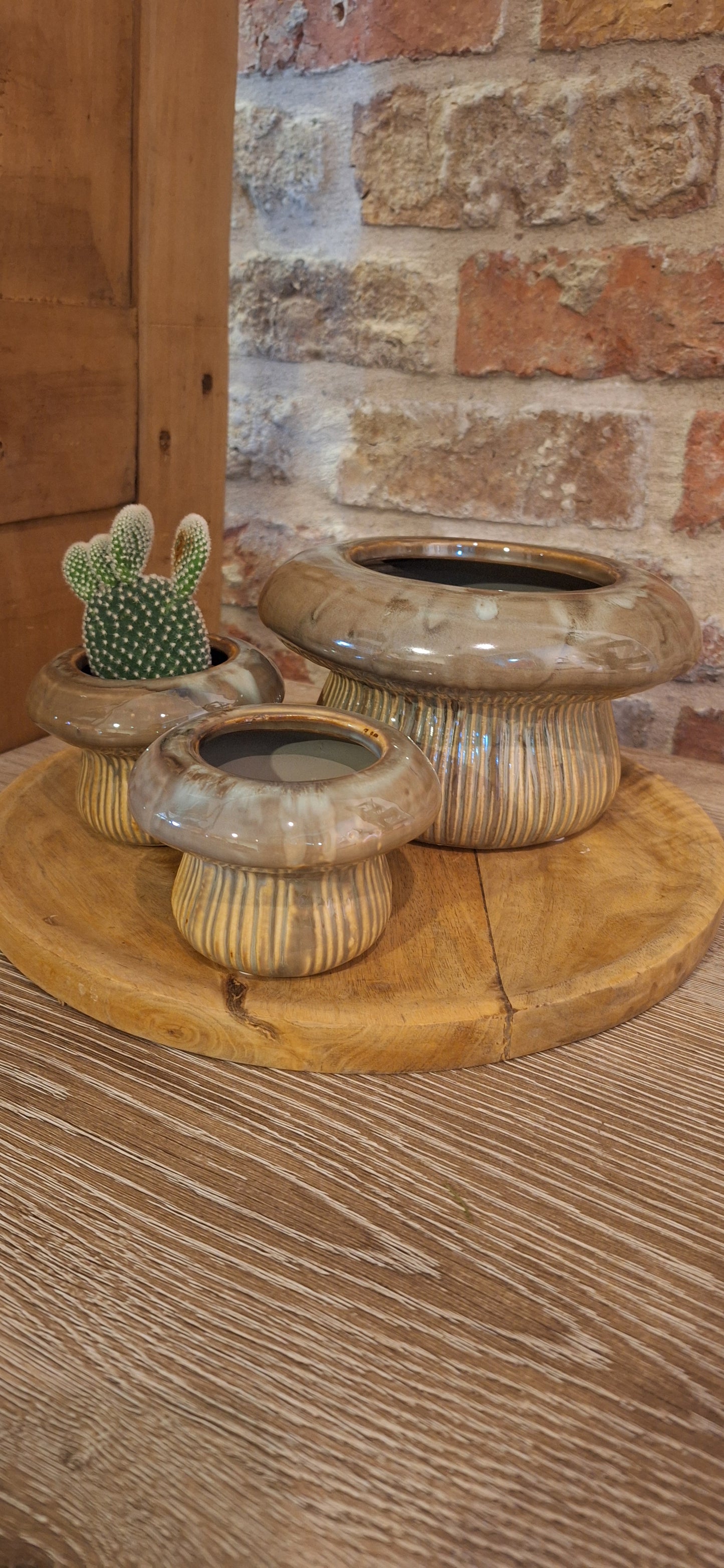 Pot paddenstoel mini