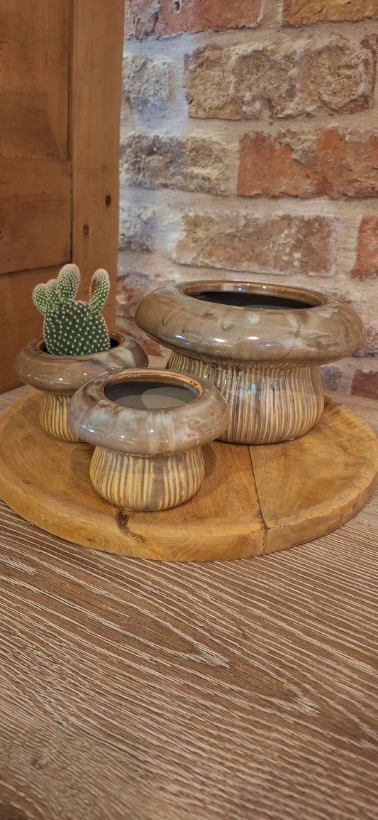 Pot paddenstoel meduim dia 11cm