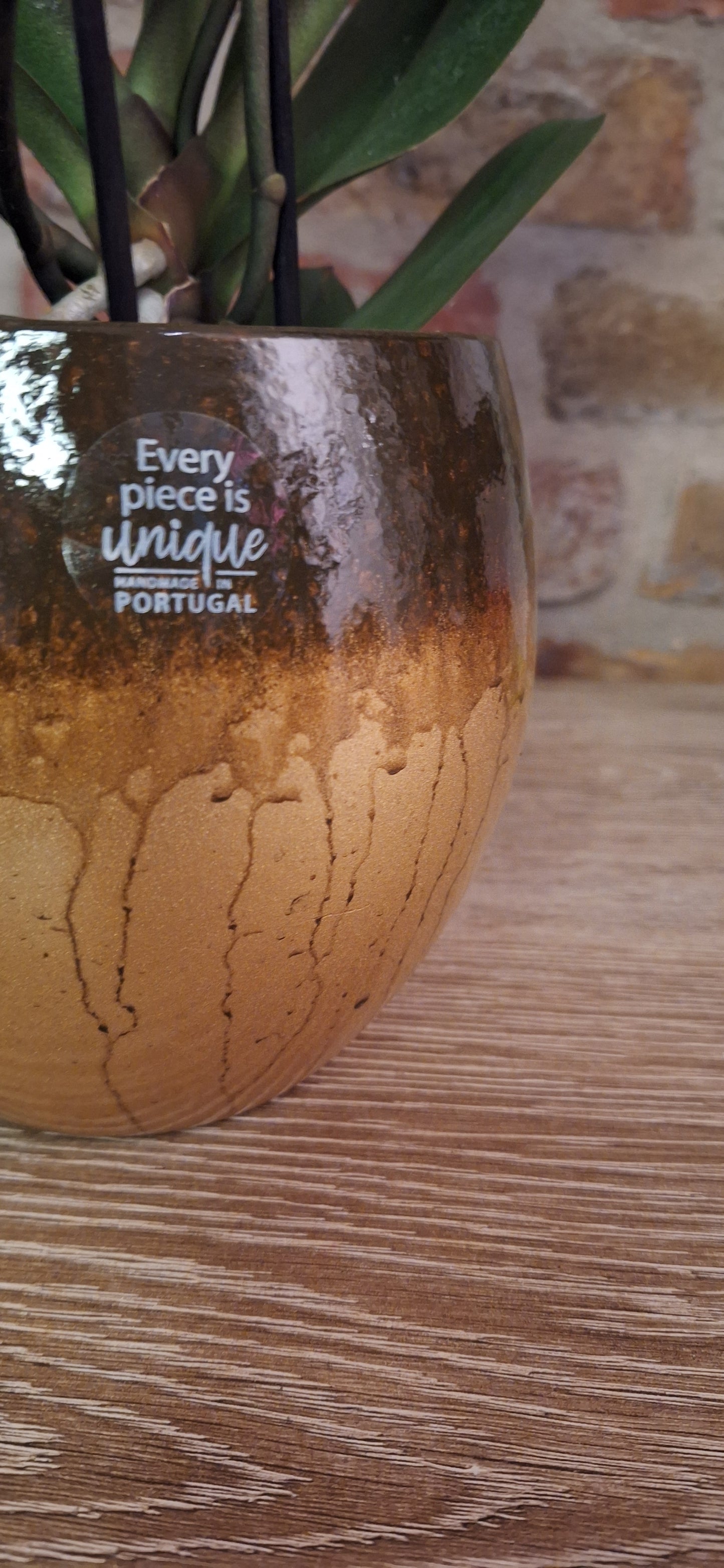 Orchidee copper multitak in pot dia 12cm