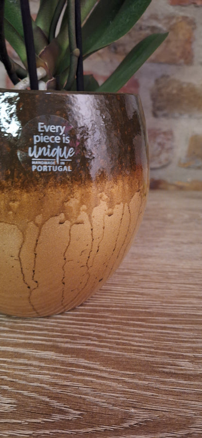 Orchidee copper multitak in pot dia 12cm