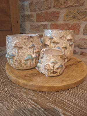 Pot mushroom dia 6cm