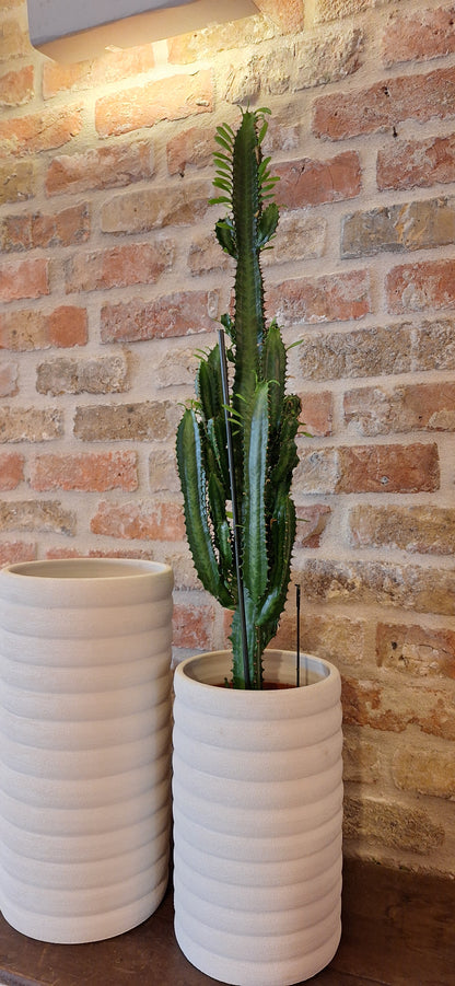 Planter Sand L dia 17cm