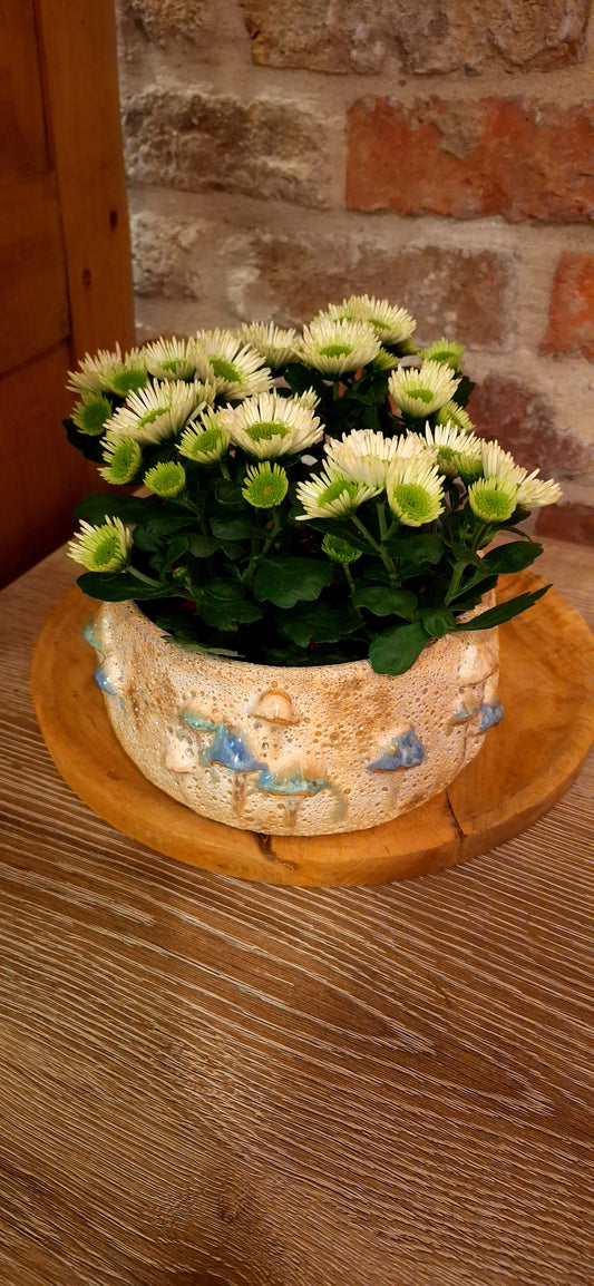 Schaal / pot mushrooms met plantjes