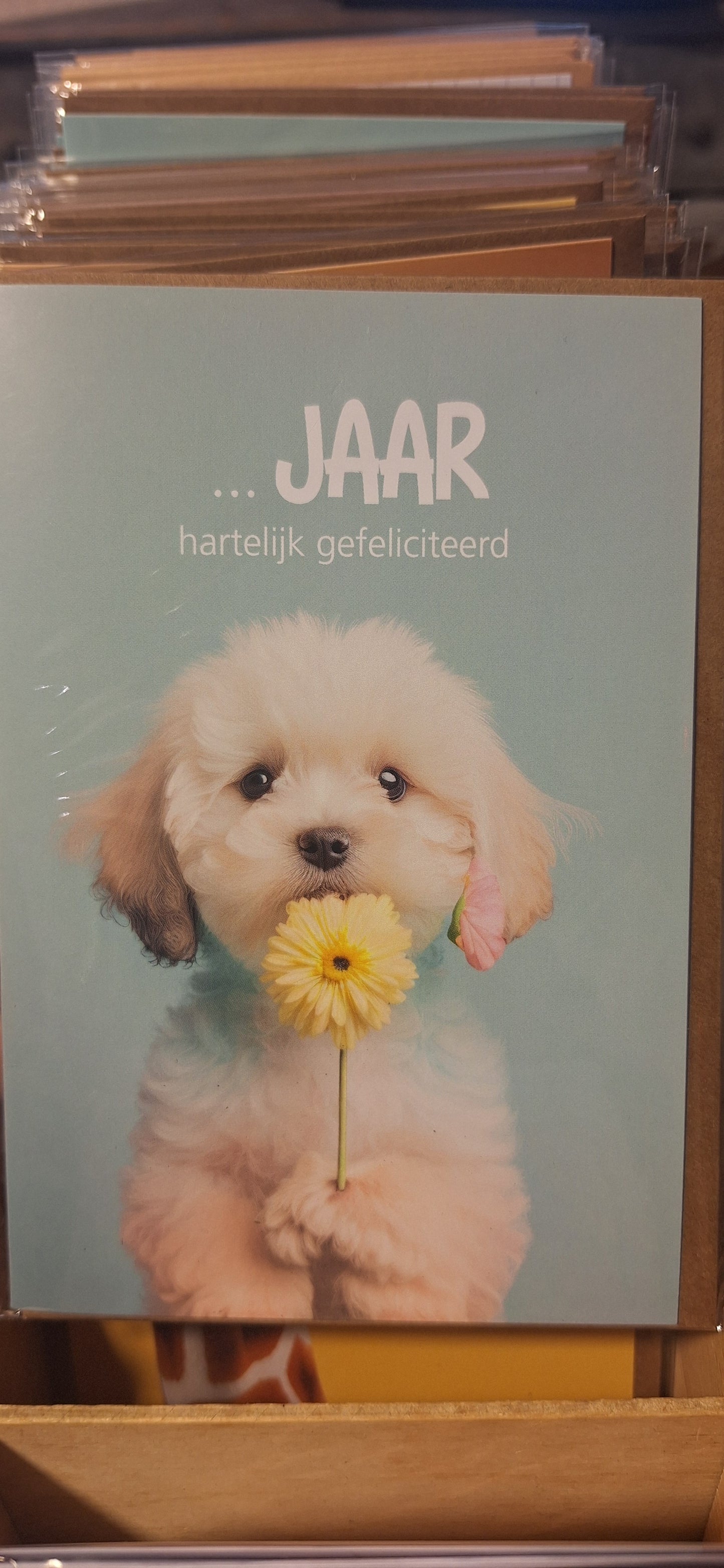 Large greeting card