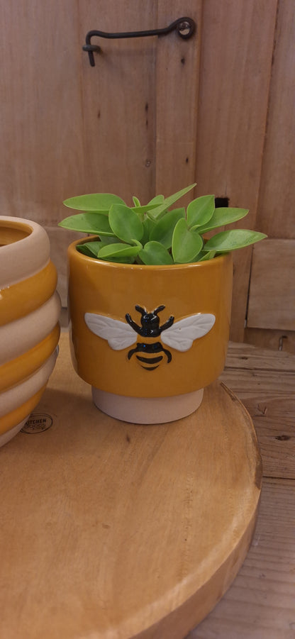 Pot bees