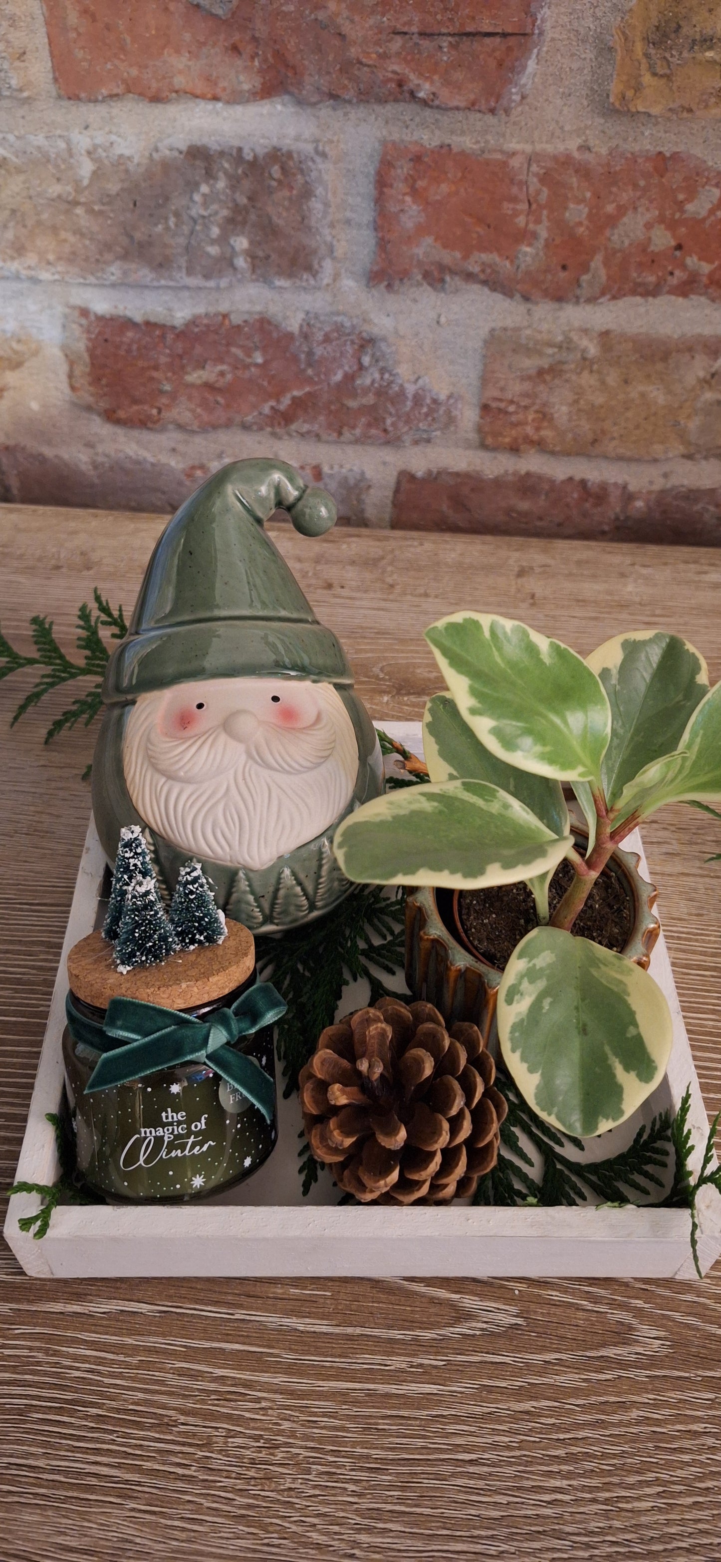 Giftset Green geschenkplateau