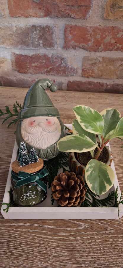 Giftset Green geschenkplateau