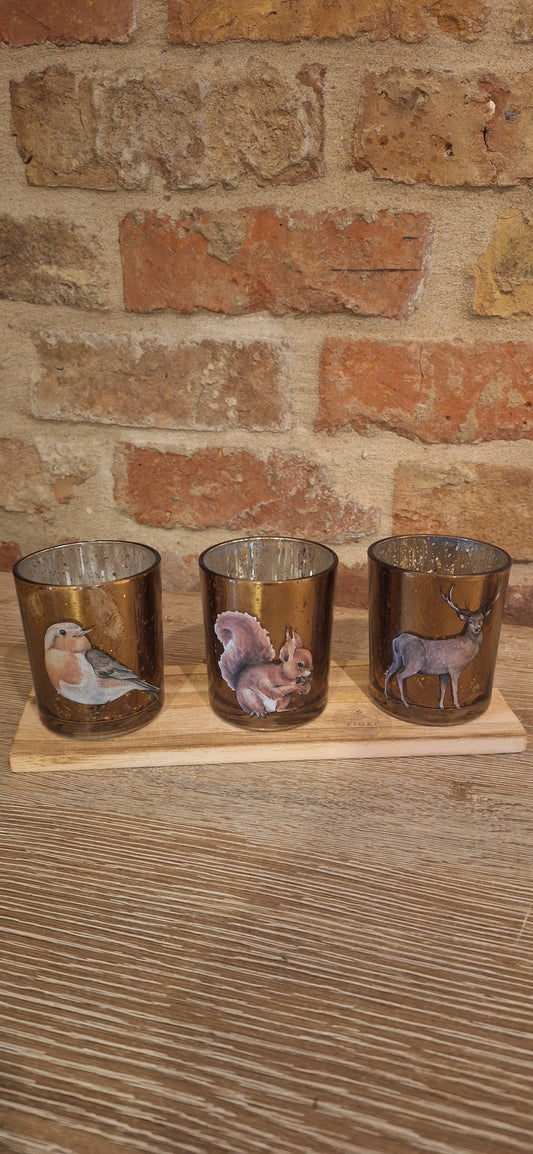 Giftset animals