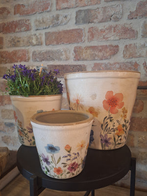 Pot wildflowers dia 12cm
