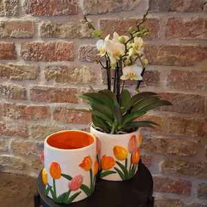 Pot tulips M dia 12cm