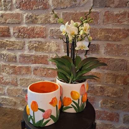 Pot tulips mini dia 6cm