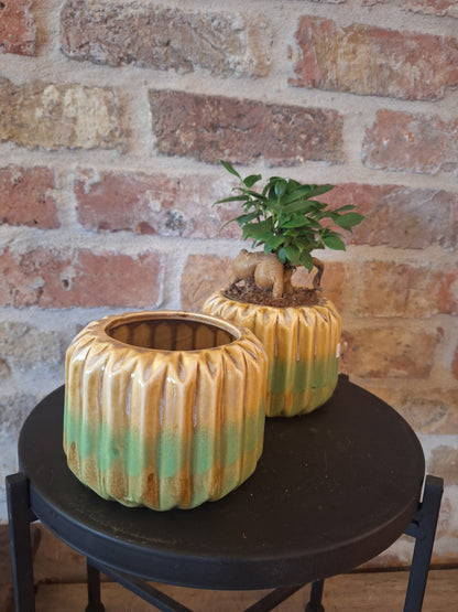 Pot stripes oker groen dia 8.5cm