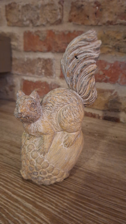 Eekhoorn steen M
