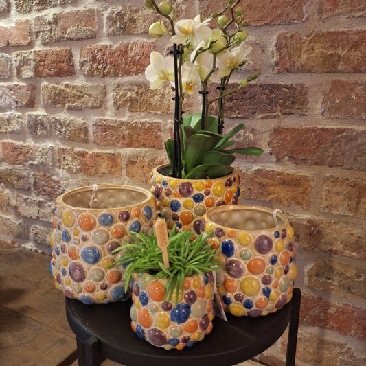 Pot balloon mini dia 6cm