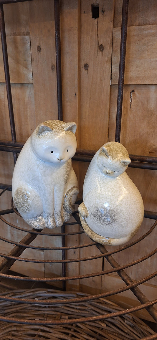 Beeld kat
