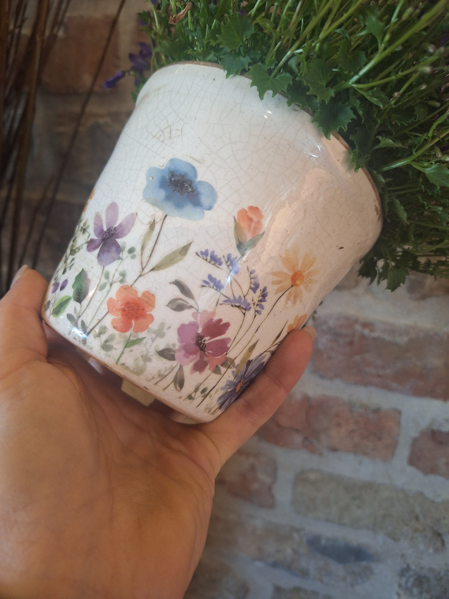 Pot wildflowers dia 12cm