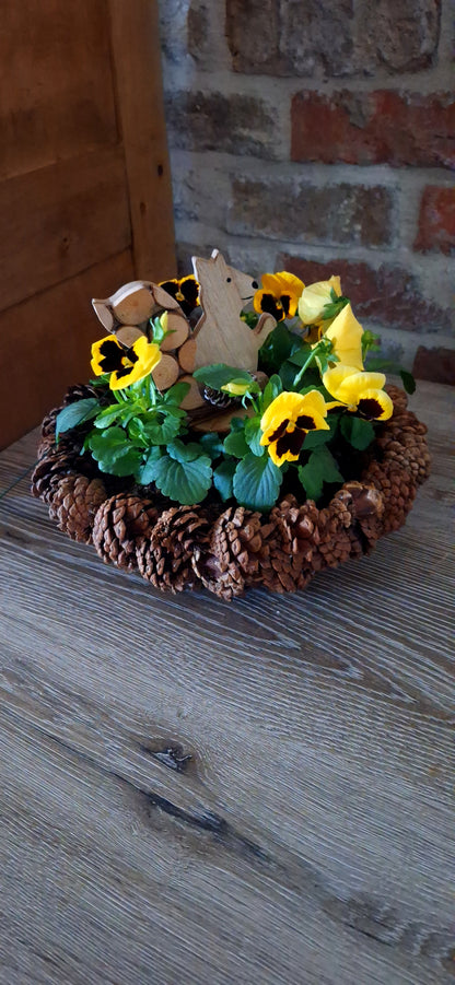 Scale violins with autumn animal