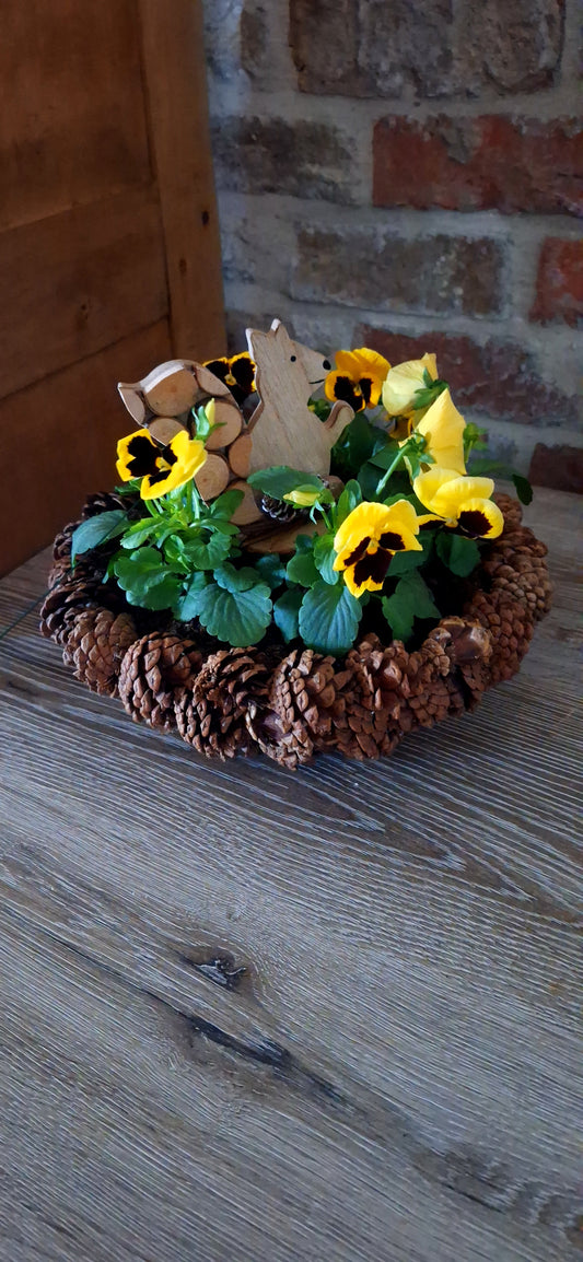 Scale violins with autumn animal