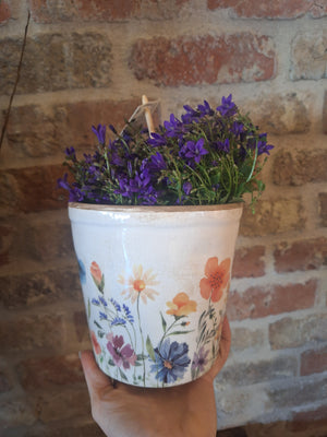 Pot wildflowers dia 13cm