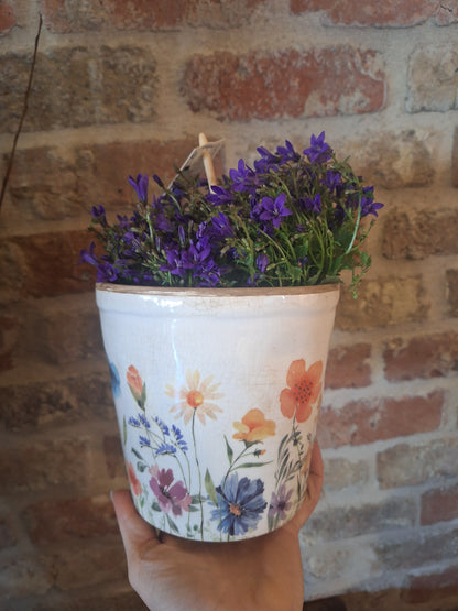 Pot wildflowers dia 19cm